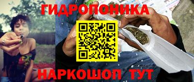 гашик Заводоуковск