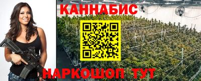 гашик Заводоуковск