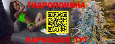 гидра Уссурийск